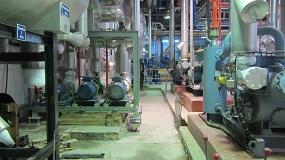 GeoNovatek interviene de forma preventiva instalando 51 micropilotes bajo una nave industrial del sector c�rnico