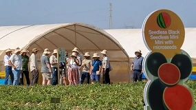 Foto de Cuando el campo se convierte en experiencia: cómo diseñar eventos que realmente conectan en el sector agro