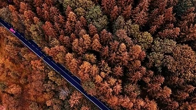 Foto de Cidetec Energy Storage lidera un proyecto europeo para desarrollar baterías más sostenibles y asequibles