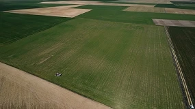 Foto de Ensayos On-Farm 5.0 para generar información real y mejorar la toma de decisiones en fertilización del cereal
