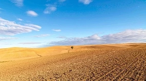 Foto de Las hipotecas sobre fincas rústicas aumentaron un 24,7% en julio