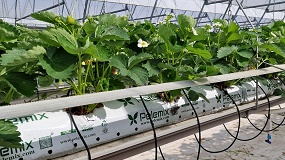 Foto de Pelemix refuerza su compromiso con sus clientes con nuevas soluciones innovadoras, de calidad y fiables en Fruit Attraction