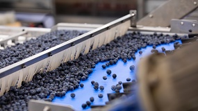 Foto de TOMRA presentar� en Fruit Attraction la nueva 5S Blueberry