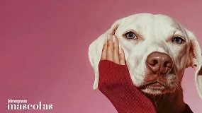 Foto de Las compras de productos para mascotas en España aumentan un 21%