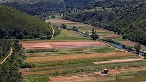 Foto de Uma floresta mais resiliente, um setor mais competitivo