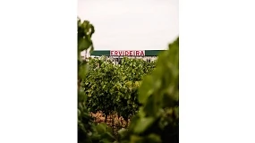 Foto de Programa de Sustentabilidade dos Vinhos do Alentejo chega aos 30 produtores certificados