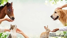 Foto de Mes de los Animales: cómo el vínculo con los animales de compañía también transforma nuestro bienestar