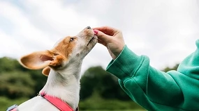 Foto de El valor del mercado de alimentación para mascotas se duplica en 10 años