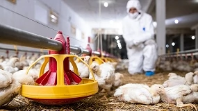 Foto de La profesión veterinaria resalta su trabajo para proteger a la sociedad en el día de su patrón