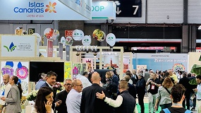 La patata reivindica su papel estrat�gico en Fruit Attraction 2026