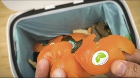 Foto de Sinclair quer simplificar a elimina��o dos r�tulos compost�veis de fruta