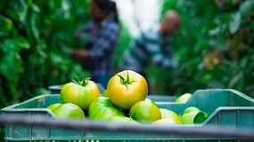 Foto de Portugal Fresh, COTHN e FNOP exigem 140 milh�es de euros para refor�ar competitividade dos produtores