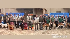 Foto de Los podencos españoles protagonizan la IV Copa de Trabajo disputada en Albacete