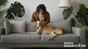 Foto de PSH presenta Home Fragrance: el aliado para mantener un hogar fresco y libre de olores cuando se comparte la vida con mascotas
