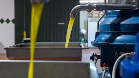 Sierra M�gina agota gran parte de su producci�n envasada de AOVE temprano antes de la nueva campa�a
