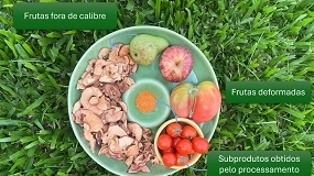 Foto de Prote�na do futuro? Leveduras e subprodutos vegetais ganham espa�o no menu