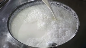 Foto de La producción de leche de oveja cambia de tendencia y crece en la segunda mitad del año