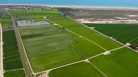Foto de Eurecat coordina un proyecto para integrar el cultivo del arroz y la conservación de los humedales mediterráneos