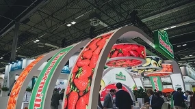Foto de The Red Innovation Hub de Eurosemillas conecta al breeder con los principales productores y operadores de fresas