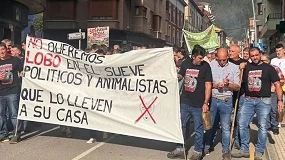 Foto de La gestión del lobo reaviva el conflicto entre conservación y ganadería extensiva en Asturias