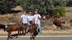 Foto de La Diputación de Ávila lleva la cabra Guisandesa a Madrid para divulgar la ganadería extensiva