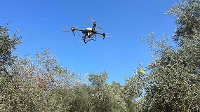 Foto de Donde se cruzan los sectores nace informaci�n valiosa