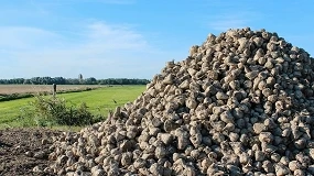 Foto de Azucarera iniciará la campaña de molturación de remolacha el próximo 27 de octubre