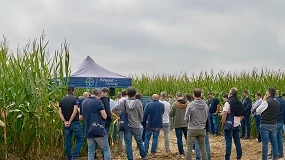 Foto de Bayer presenta la primera ForwardFarm de España dedicada al cultivo de maíz