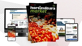 Foto de Interempresas lanza 'Horticultura Market', la nueva cabecera estratégica que conecta la producción hortofrutícola en origen con el retail