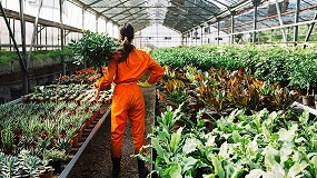 Foto de La exportaci�n espa�ola de flores y plantas crece un 7,3% hasta julio y la importaci�n aumenta un 9,3%
