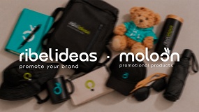 Foto de Ribel Ideas y Moloon renuevan su identidad: mismo origen, dos respuestas distintas