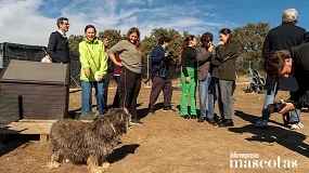 Foto de 'Mi historia continúa contigo': el informe de Tiendanimal que da voz a más de 2.500 animales de compañía que buscan un hogar