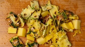 Foto de AgroGrinTech transforma res�duos de anan�s em ingredientes para ra��es de peixes