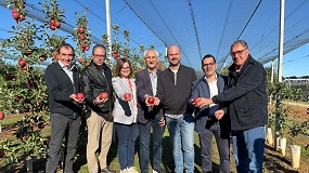 Foto de ADORE, la nueva generaci�n de manzanas adaptadas a climas m�s c�lidos