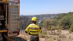 Foto de Aragón convoca 550.000 euros en ayudas para ganaderos afectados por los incendios