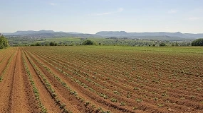 Foto de El Consejo de la UE aprueba su posición sobre la futura Política Agraria Común