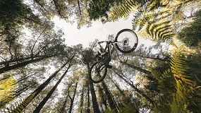 Foto de Mondraker amplía la gama ZENDIT con los nuevos modelos R y S