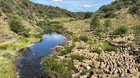Foto de El Gobierno desarrolla la Red Nacional de Vías Pecuarias para proteger la trashumancia