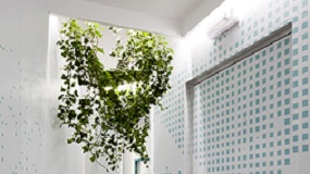 Foto de Krona contribuye a convertir en oasis los ba�os p�blicos de Casa Decor 2012