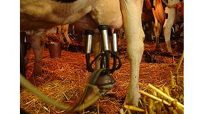 Foto de La industria amenaza con no recoger la leche si los ganaderos no aceptan precios por debajo de coste