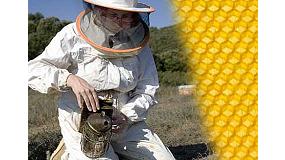 Foto de Andaluca y Extremadura obligan a sus apicultores a emplear medicamentos ineficaces contra la Varroa, segn COAG