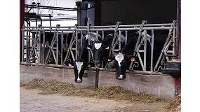 Picture of [es] Ms de 2.000 ganaderas asturianas se podrn acoger a las ayudas directas para el vacuno de leche