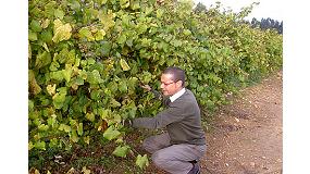 Picture of [es] Recuperar variedades para elaborar vinos 'nicos', el reto de Terras Gauda
