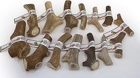 Foto de Asta de ciervo como cepillo de dientes para perros