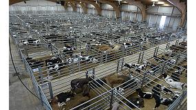 Foto de La Central Agropecuaria de Galicia increment en un 17% la facturacin de sus subastas de bovino