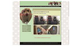 Foto de Paws Pet Resort instala cmaras Lilin para la visin online de mascotas