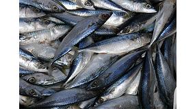 Foto de El pas de origen, uno de los factores ms relevantes para los consumidores de pescado espaoles