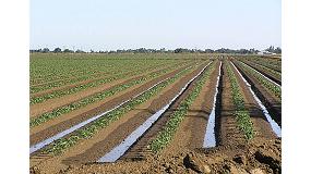 Foto de Los productores exigen la revisin de las dotaciones deficitarias de la fresa en la planificacin hidrolgica