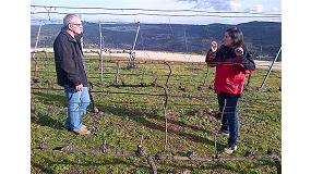 Foto de Un experto en riego visita compaas vitivincolas de Galicia para optimizar la calidad del vino