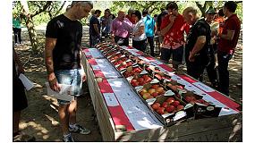 Foto de Se celebrada la jornada de manzana de verano en el Irta Mas Badia